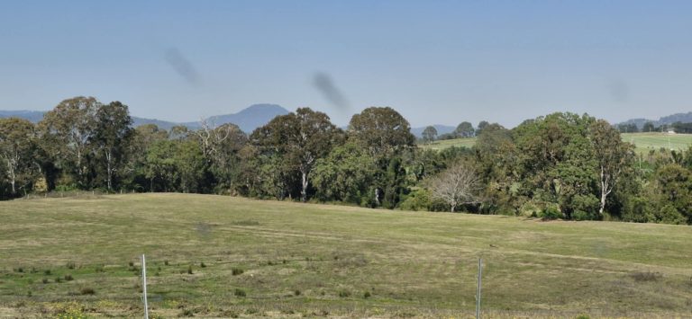 565 Mundoolun Connection Road, Boyland  QLD  4275