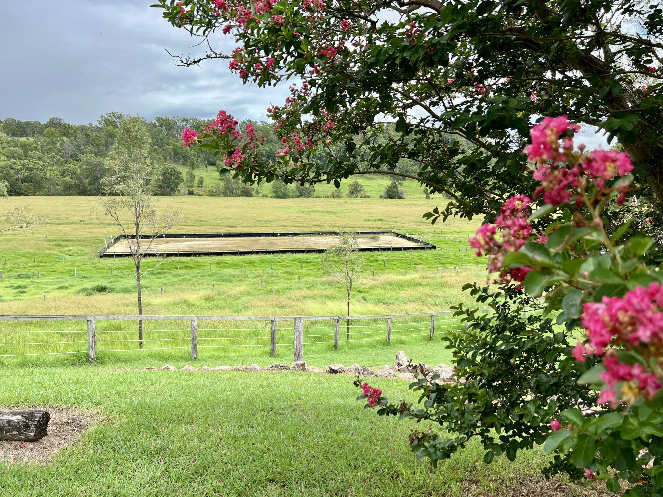 444 Cainbable Creek Road, CAINBABLE, QLD 4285