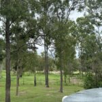 762-768 Camp Cable Road, LOGAN VILLAGE, QLD 4207