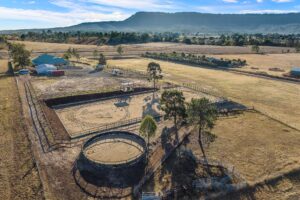 328 Boyland Road, BOYLAND, QLD 4275