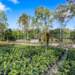 37-63 Boomerang Road, Tamborine, QLD 4270