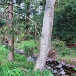 2 Mount Gipps, Mount Gipps, QLD 4285