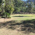 41-49 Clifton Drive, NORTH MACLEAN, QLD 4280