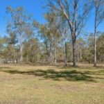124 Mountain Ridge Road, SOUTH MACLEAN, QLD 4280