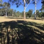 41-49 Clifton Drive, NORTH MACLEAN, QLD 4280