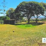 193 Lehmanns Road, COOLANA, QLD 4311