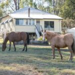 77A Saville Road, ALLENVIEW, QLD 4285