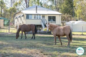 77A Saville Road, ALLENVIEW, QLD 4285