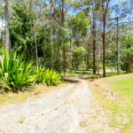 66 Cedar Creek Falls Road, Tamborine Mountain, QLD 4272