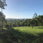 405 Birnam Range Road, BEAUDESERT, QLD 4285