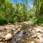 66 Cedar Creek Falls Road, Tamborine Mountain, QLD 4272