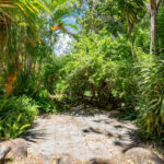 66 Cedar Creek Falls Road, Tamborine Mountain, QLD 4272