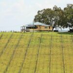 91 Boyland Road, BOYLAND, QLD 4275