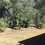 41-49 Clifton Drive, NORTH MACLEAN, QLD 4280