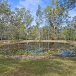 334 Mountain Ridge Road, SOUTH MACLEAN, QLD 4280