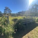 46 Farm Road, GREENBANK, QLD 4124