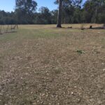 41 Clifton Drive, NORTH MACLEAN, QLD 4280
