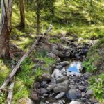 2 Mount Gipps, Mount Gipps, QLD 4285