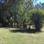 41-49 Clifton Drive, NORTH MACLEAN, QLD 4280