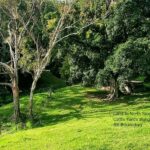 2 Mount Gipps, Mount Gipps, QLD 4285