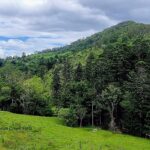 2 Mount Gipps, Mount Gipps, QLD 4285