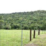 439B Darlington Range Road, WITHEREN, QLD 4275