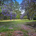 106-120 The Grange Road, GLENEAGLE, QLD 4285