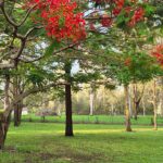 18-24 The Grange Road, GLENEAGLE, QLD 4285