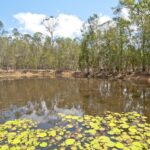 41-49 Clifton Drive, NORTH MACLEAN, QLD 4280