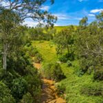 650 Knapp Creek Road, KNAPP CREEK, QLD 4285