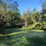 405 Birnam Range, BEAUDESERT, QLD 4285