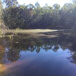 41-49 Clifton Drive, NORTH MACLEAN, QLD 4280