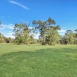 107 Leach Road, Tamborine, QLD 4270