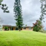 444 Cainbable Creek Rd, CAINBABLE, QLD 4285