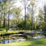 21-43 Wardland Ct, BUCCAN, QLD 4207
