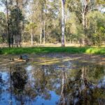 79-87 79-87 Cooreen Road, MUNRUBEN, QLD 4125