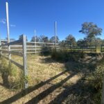 46 Farm Road, GREENBANK, QLD 4124