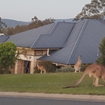 9-11 Bauer Drive, MUNDOOLUN, QLD 4285