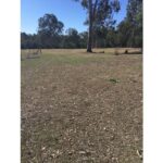 41-49 Clifton Drive, NORTH MACLEAN, QLD 4280