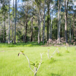 21-43 Wardland Ct, BUCCAN, QLD 4207