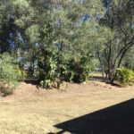 41 Clifton Drive, NORTH MACLEAN, QLD 4280