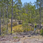 31 Bluebird Ct, GREENBANK, QLD 4124