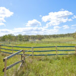 77 Saville Road, ALLENVIEW, QLD 4285