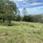 405 Birnam Range, BEAUDESERT, QLD 4285