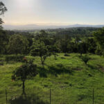 405 Birnam Range Road, BEAUDESERT, QLD 4285