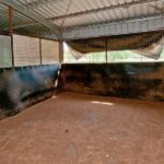 197 Victoria Drive, JIMBOOMBA, QLD 4280