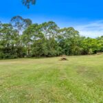 273-281 Cedar Grove Road, CEDAR GROVE, QLD 4285