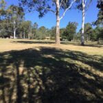 41 Clifton Drive, NORTH MACLEAN, QLD 4280