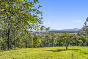 405 Birnam Range Road, BEAUDESERT, QLD 4285