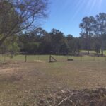 41 Clifton Drive, NORTH MACLEAN, QLD 4280